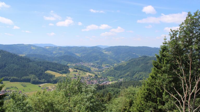 Dieses Bild zeigt eine Webcam-Aufnahme vom Achertal, aufgenommen am Montag, den 15.06.2026 um 12:10 Uhr. Die Temperatur betrug 15.4°C.