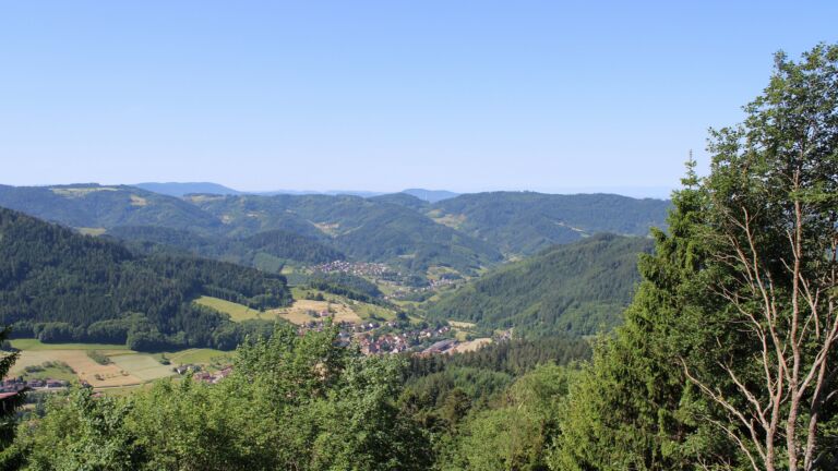 Dieses Bild zeigt eine Webcam-Aufnahme vom Achertal, aufgenommen am Freitag, den 29.05.2026 um 10:40 Uhr. Die Temperatur betrug 23.1°C.