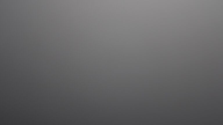 Dieses Bild zeigt eine Webcam-Aufnahme vom Achertal, aufgenommen am Donnerstag, den 04.12.2025 um 05:00 Uhr. Die Temperatur betrug 0.8°C.