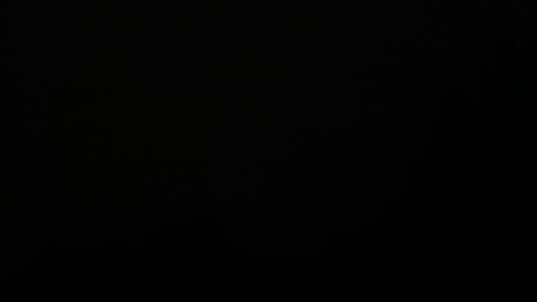 Dieses Bild zeigt eine Webcam-Aufnahme vom Achertal, aufgenommen am Mittwoch, den 21.10.2026 um 03:00 Uhr. Die Temperatur betrug 7.9°C.