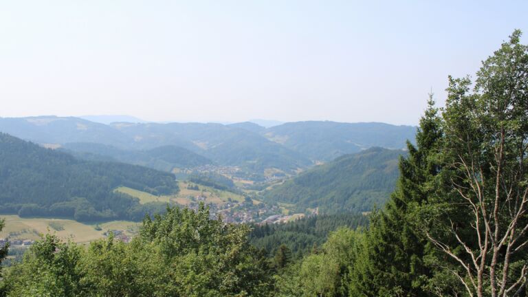 Dieses Bild zeigt eine Webcam-Aufnahme vom Achertal, aufgenommen am Donnerstag, den 30.07.2026 um 12:40 Uhr. Die Temperatur betrug 34.9°C.