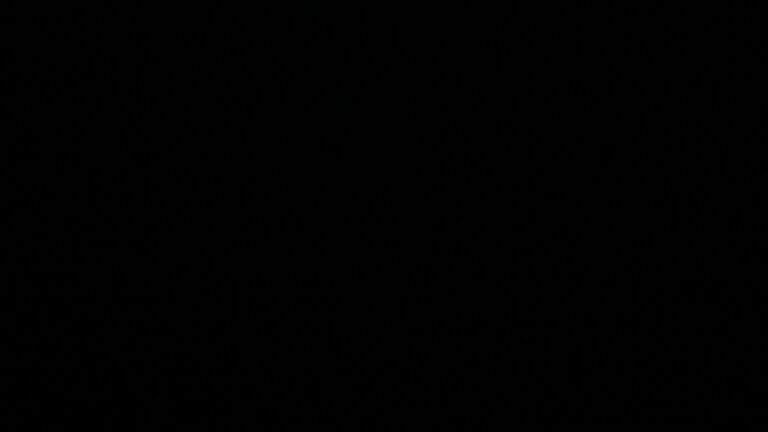 Dieses Bild zeigt eine Webcam-Aufnahme vom Achertal, aufgenommen am Dienstag, den 24.02.2026 um 01:30 Uhr. Die Temperatur betrug 4.4°C.