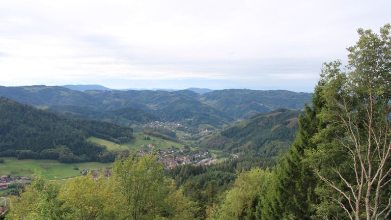 Dieses Bild zeigt eine Webcam-Aufnahme vom Achertal, aufgenommen am Dienstag, den 13.10.2026 um 11:40 Uhr. Die Temperatur betrug 16.3°C.