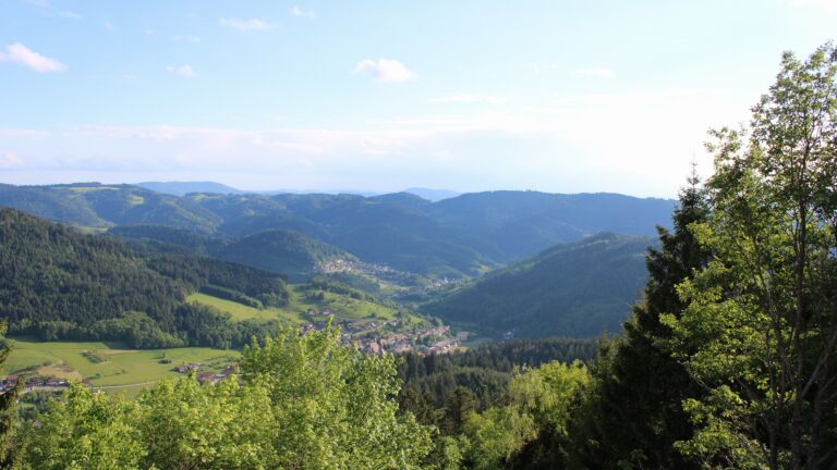 Dieses Bild zeigt eine Webcam-Aufnahme vom Achertal, aufgenommen am Samstag, den 16.05.2026 um 18:50 Uhr. Die Temperatur betrug 11°C.