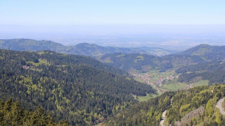 Dieses Bild zeigt eine Webcam-Aufnahme vom Achertal, aufgenommen am Samstag, den 25.04.2026 um 12:20 Uhr. Die Temperatur betrug 14°C.