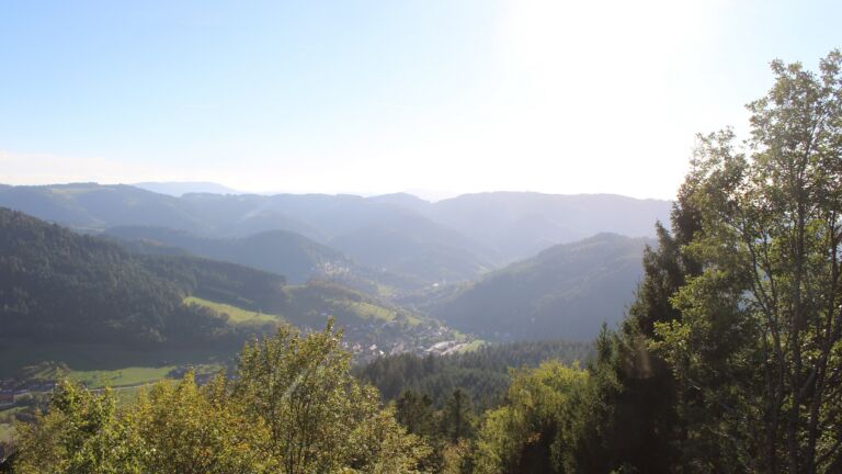 Dieses Bild zeigt eine Webcam-Aufnahme vom Achertal, aufgenommen am Mittwoch, den 14.10.2026 um 16:50 Uhr. Die Temperatur betrug 20.3°C.