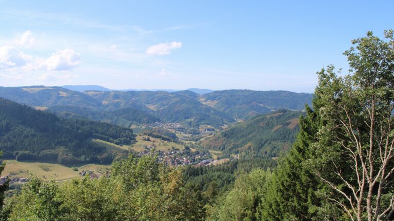 Dieses Bild zeigt eine Webcam-Aufnahme vom Achertal, aufgenommen am Sonntag, den 23.08.2026 um 11:50 Uhr. Die Temperatur betrug 20.5°C.