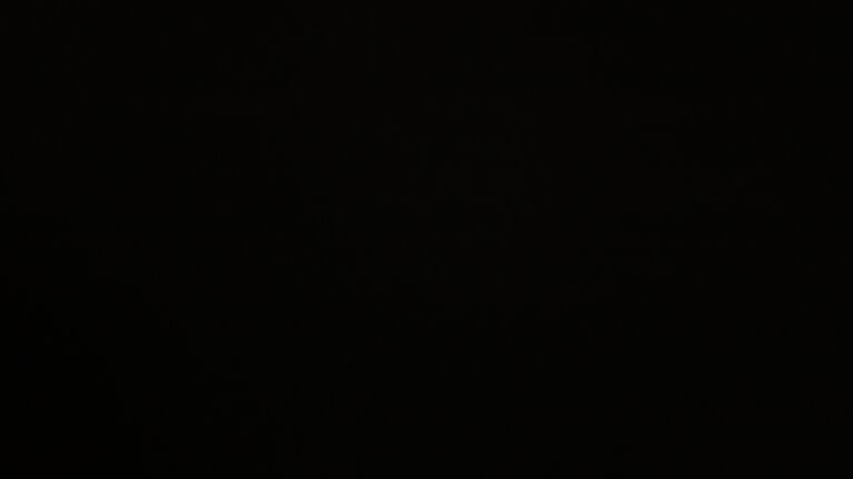 Dieses Bild zeigt eine Webcam-Aufnahme vom Achertal, aufgenommen am Donnerstag, den 20.11.2025 um 05:40 Uhr. Die Temperatur betrug -3.1°C.