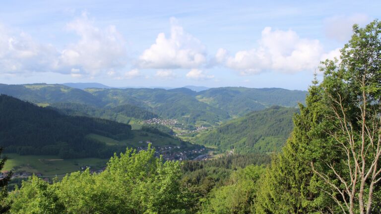 Dieses Bild zeigt eine Webcam-Aufnahme vom Achertal, aufgenommen am Donnerstag, den 21.05.2026 um 09:50 Uhr. Die Temperatur betrug 18°C.