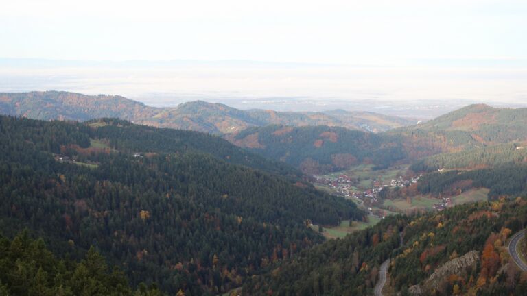 Dieses Bild zeigt eine Webcam-Aufnahme vom Achertal, aufgenommen am Freitag, den 31.10.2025 um 08:00 Uhr. Die Temperatur betrug 8.6°C.