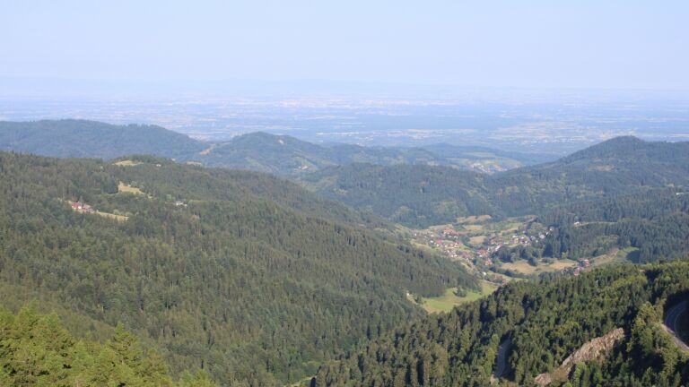 Dieses Bild zeigt eine Webcam-Aufnahme vom Achertal, aufgenommen am Freitag, den 20.06.2025 um 08:10 Uhr. Die Temperatur betrug 17°C.
