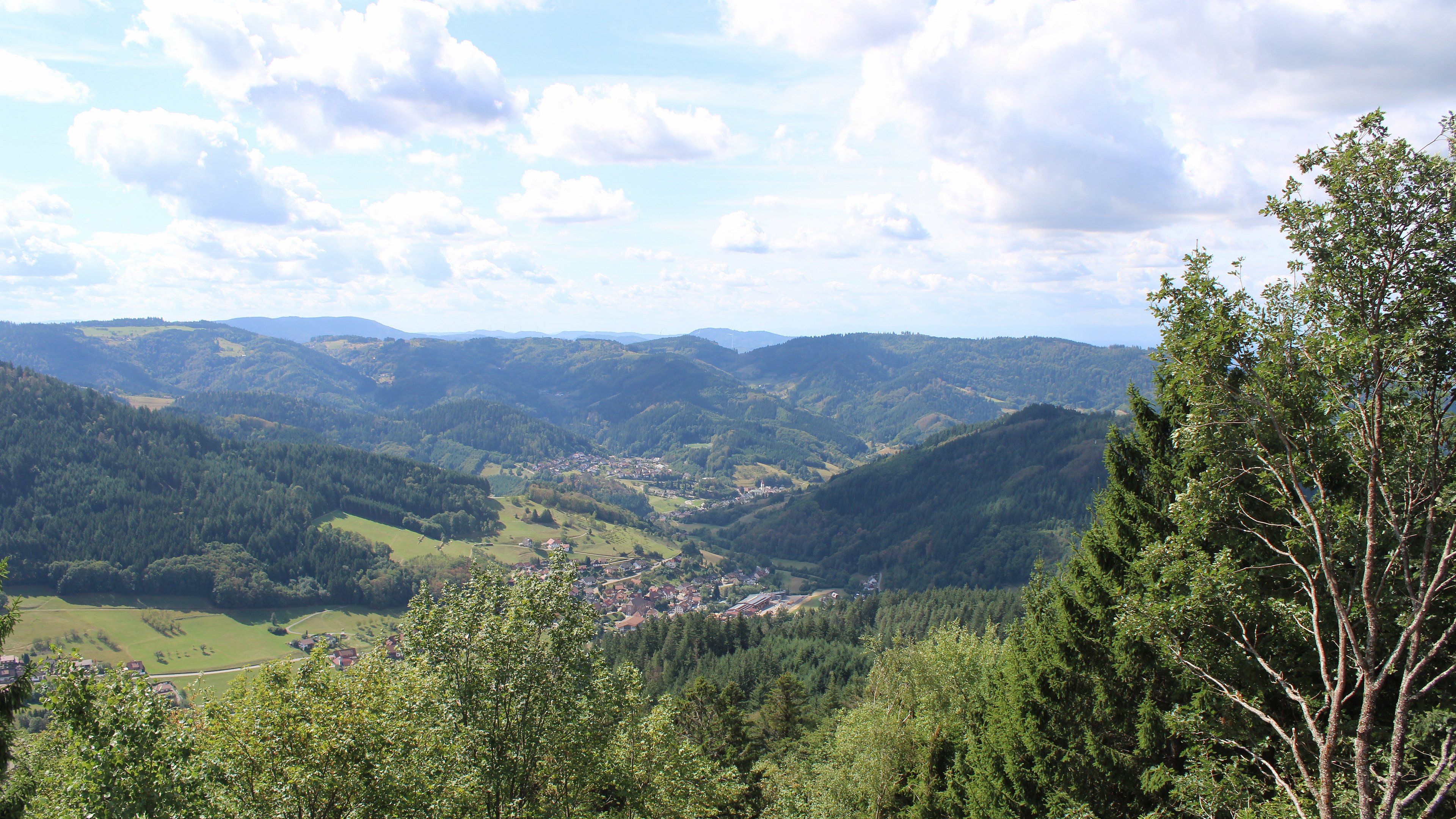 Zum Fotoarchiv vom Dienstag, 1. September 2026