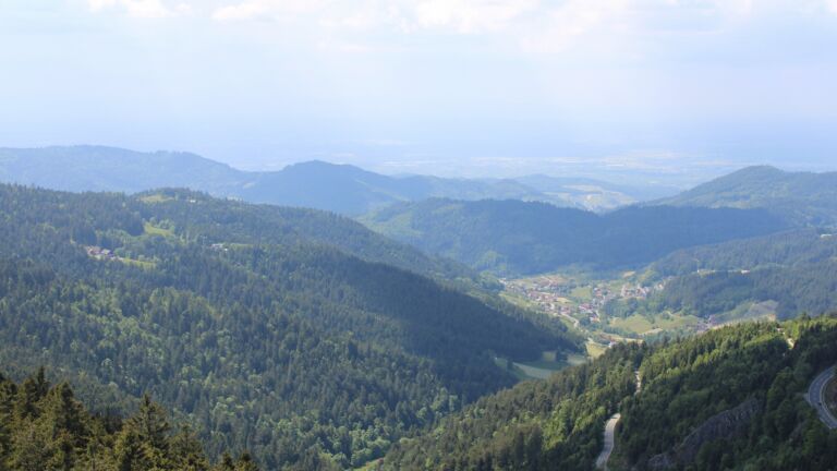 Dieses Bild zeigt eine Webcam-Aufnahme vom Achertal, aufgenommen am Samstag, den 17.05.2025 um 14:50 Uhr. Die Temperatur betrug 11.9°C.