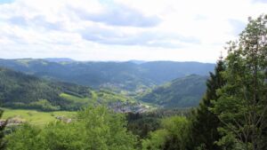 Dieses Bild zeigt eine Webcam-Aufnahme vom Achertal, aufgenommen am Dienstag, den 12.05.2026 um 17:20 Uhr. Die Temperatur betrug 8°C.