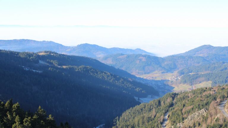 Dieses Bild zeigt eine Webcam-Aufnahme vom Achertal, aufgenommen am Montag, den 29.12.2025 um 11:30 Uhr. Die Temperatur betrug 4°C.