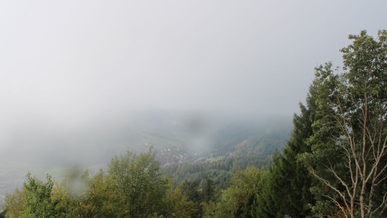 Dieses Bild zeigt eine Webcam-Aufnahme vom Achertal, aufgenommen am Freitag, den 02.10.2026 um 11:00 Uhr. Die Temperatur betrug 17.3°C.