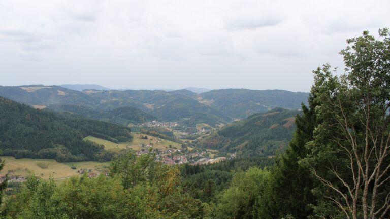 Dieses Bild zeigt eine Webcam-Aufnahme vom Achertal, aufgenommen am Freitag, den 21.08.2026 um 11:10 Uhr. Die Temperatur betrug 17.3°C.