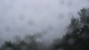 Dieses Bild zeigt eine Webcam-Aufnahme vom Achertal, aufgenommen am Mittwoch, den 16.09.2026 um 11:50 Uhr. Die Temperatur betrug 13.6°C.