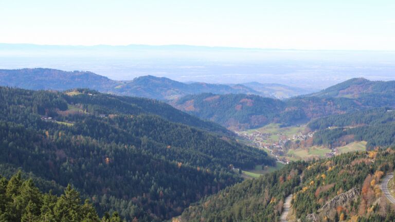 Dieses Bild zeigt eine Webcam-Aufnahme vom Achertal, aufgenommen am Mittwoch, den 05.11.2025 um 12:50 Uhr. Die Temperatur betrug 14.1°C.