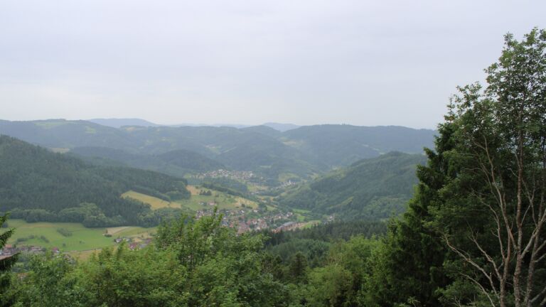 Dieses Bild zeigt eine Webcam-Aufnahme vom Achertal, aufgenommen am Dienstag, den 16.06.2026 um 12:00 Uhr. Die Temperatur betrug 20.2°C.