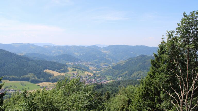 Dieses Bild zeigt eine Webcam-Aufnahme vom Achertal, aufgenommen am Dienstag, den 23.06.2026 um 12:30 Uhr. Die Temperatur betrug 30.8°C.