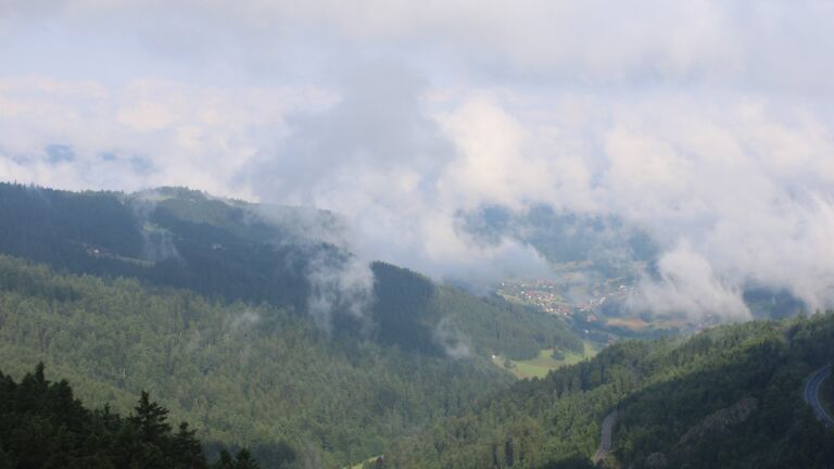 Dieses Bild zeigt eine Webcam-Aufnahme vom Achertal, aufgenommen am Montag, den 16.06.2025 um 08:40 Uhr. Die Temperatur betrug 10.9°C.
