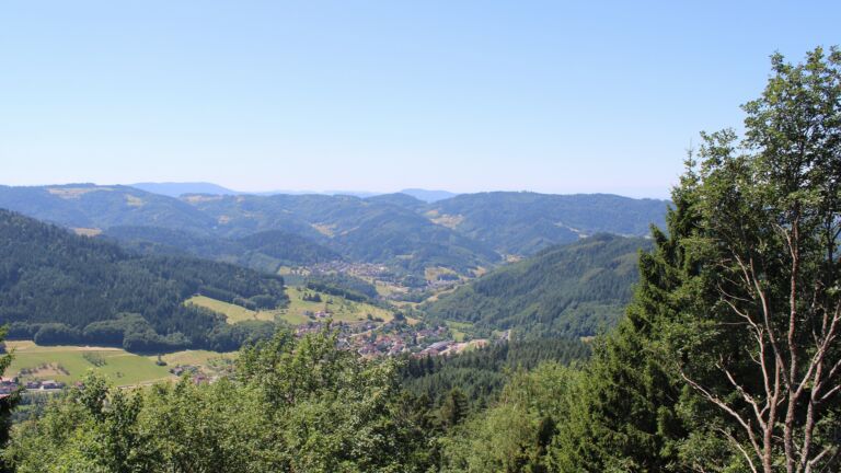 Dieses Bild zeigt eine Webcam-Aufnahme vom Achertal, aufgenommen am Freitag, den 10.07.2026 um 12:50 Uhr. Die Temperatur betrug 26.9°C.