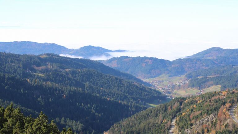 Dieses Bild zeigt eine Webcam-Aufnahme vom Achertal, aufgenommen am Samstag, den 08.11.2025 um 12:20 Uhr. Die Temperatur betrug 10.9°C.