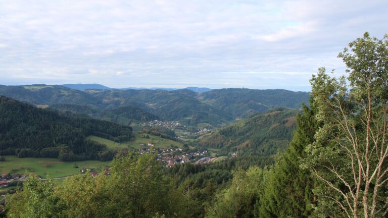 Dieses Bild zeigt eine Webcam-Aufnahme vom Achertal, aufgenommen am Montag, den 14.09.2026 um 08:50 Uhr. Die Temperatur betrug 15.5°C.