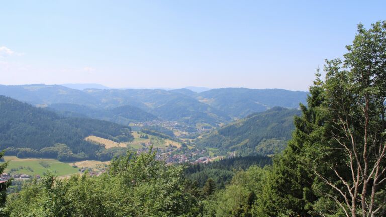 Dieses Bild zeigt eine Webcam-Aufnahme vom Achertal, aufgenommen am Mittwoch, den 24.06.2026 um 12:50 Uhr. Die Temperatur betrug 29.3°C.