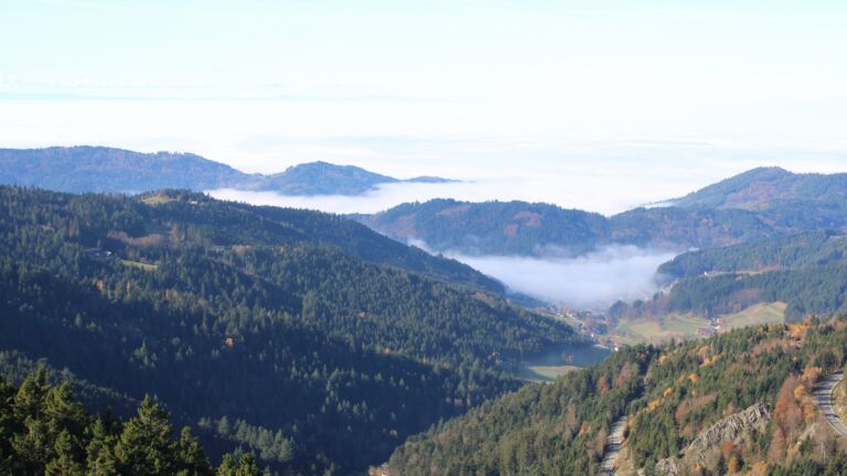 Dieses Bild zeigt eine Webcam-Aufnahme vom Achertal, aufgenommen am Samstag, den 08.11.2025 um 11:40 Uhr. Die Temperatur betrug 10.4°C.