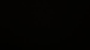 Dieses Bild zeigt eine Webcam-Aufnahme vom Achertal, aufgenommen am Dienstag, den 25.11.2025 um 23:00 Uhr. Die Temperatur betrug -0.6°C.