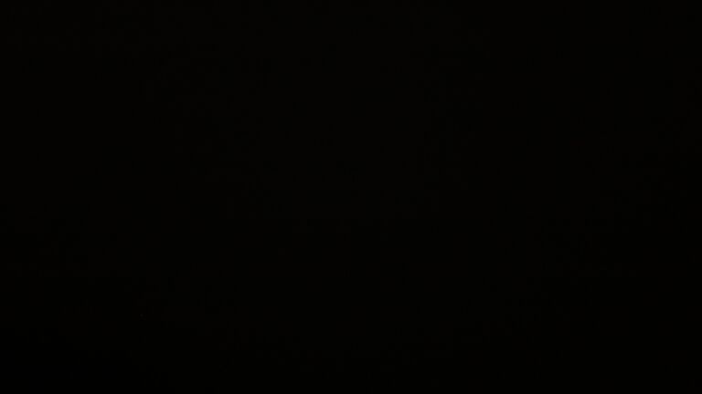 Dieses Bild zeigt eine Webcam-Aufnahme vom Achertal, aufgenommen am Dienstag, den 25.11.2025 um 23:00 Uhr. Die Temperatur betrug -0.6°C.