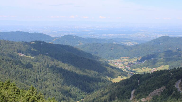 Dieses Bild zeigt eine Webcam-Aufnahme vom Achertal, aufgenommen am Samstag, den 12.07.2025 um 10:50 Uhr. Die Temperatur betrug 16.5°C.
