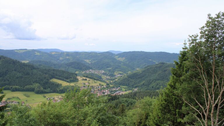 Dieses Bild zeigt eine Webcam-Aufnahme vom Achertal, aufgenommen am Mittwoch, den 10.06.2026 um 11:00 Uhr. Die Temperatur betrug 14°C.