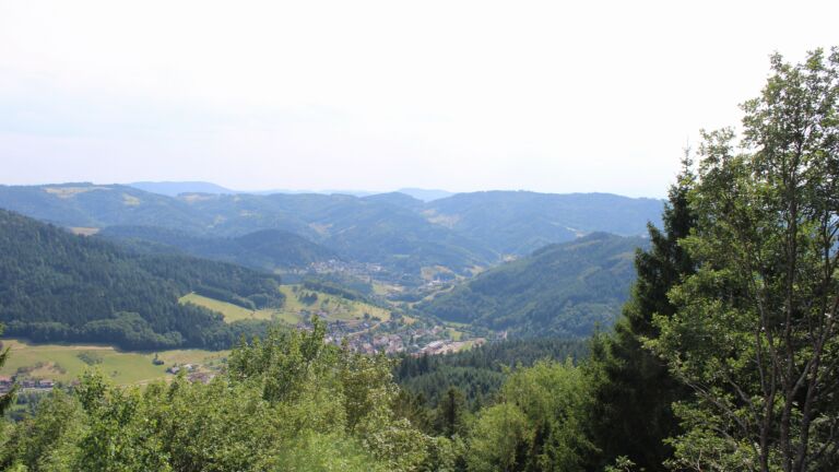Dieses Bild zeigt eine Webcam-Aufnahme vom Achertal, aufgenommen am Dienstag, den 14.07.2026 um 16:20 Uhr. Die Temperatur betrug 31.8°C.