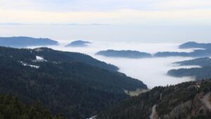 Dieses Bild zeigt eine Webcam-Aufnahme vom Achertal, aufgenommen am Samstag, den 24.01.2026 um 14:30 Uhr. Die Temperatur betrug 2.4°C.