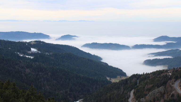 Dieses Bild zeigt eine Webcam-Aufnahme vom Achertal, aufgenommen am Samstag, den 24.01.2026 um 14:30 Uhr. Die Temperatur betrug 2.4°C.