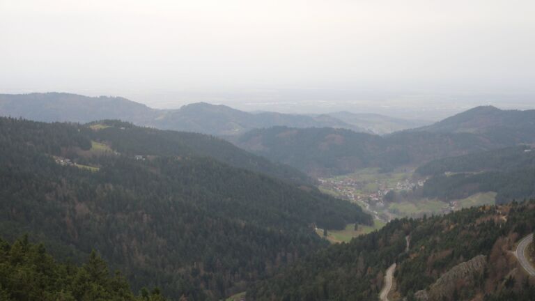 Dieses Bild zeigt eine Webcam-Aufnahme vom Achertal, aufgenommen am Samstag, den 15.11.2025 um 10:20 Uhr. Die Temperatur betrug 10.9°C.