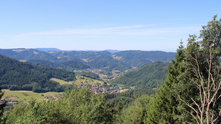 Dieses Bild zeigt eine Webcam-Aufnahme vom Achertal, aufgenommen am Sonntag, den 12.07.2026 um 11:10 Uhr. Die Temperatur betrug 23.9°C.