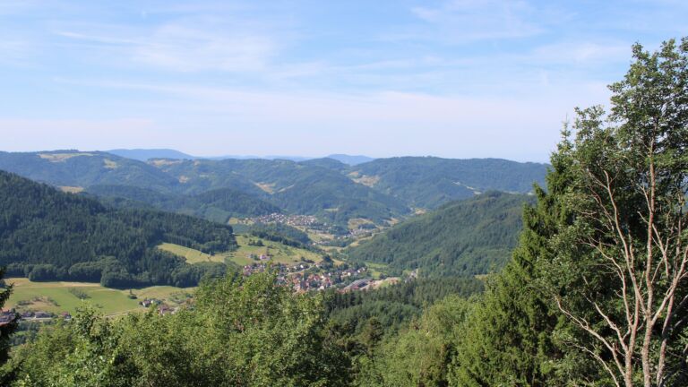 Dieses Bild zeigt eine Webcam-Aufnahme vom Achertal, aufgenommen am Samstag, den 11.07.2026 um 10:50 Uhr. Die Temperatur betrug 27.1°C.