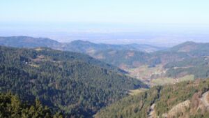 Dieses Bild zeigt eine Webcam-Aufnahme vom Achertal, aufgenommen am Montag, den 02.03.2026 um 09:50 Uhr. Die Temperatur betrug 8.9°C.