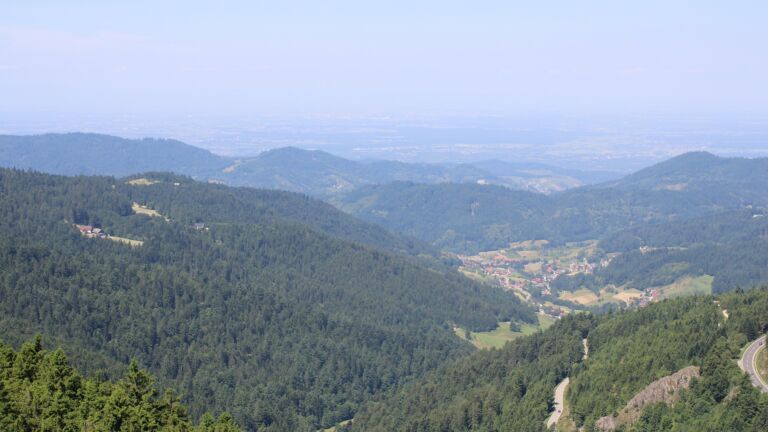 Dieses Bild zeigt eine Webcam-Aufnahme vom Achertal, aufgenommen am Mittwoch, den 18.06.2025 um 11:40 Uhr. Die Temperatur betrug 21.2°C.