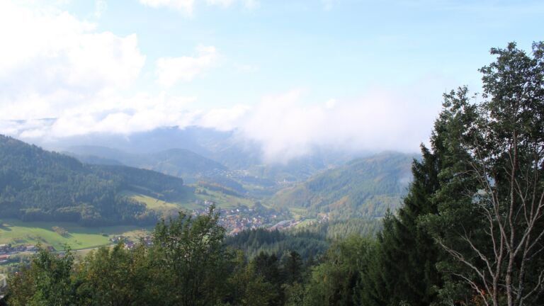 Dieses Bild zeigt eine Webcam-Aufnahme vom Achertal, aufgenommen am Freitag, den 02.10.2026 um 11:30 Uhr. Die Temperatur betrug 16.9°C.