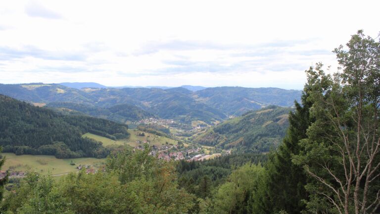 Dieses Bild zeigt eine Webcam-Aufnahme vom Achertal, aufgenommen am Samstag, den 29.08.2026 um 16:00 Uhr. Die Temperatur betrug 19.7°C.