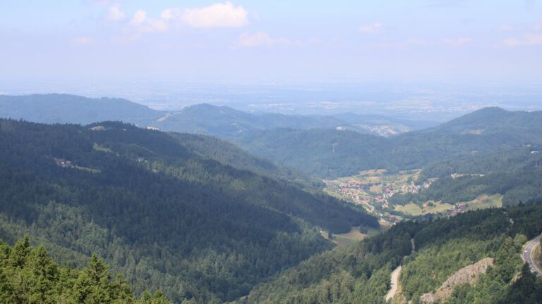 Dieses Bild zeigt eine Webcam-Aufnahme vom Achertal, aufgenommen am Freitag, den 11.07.2025 um 11:30 Uhr. Die Temperatur betrug 18.5°C.