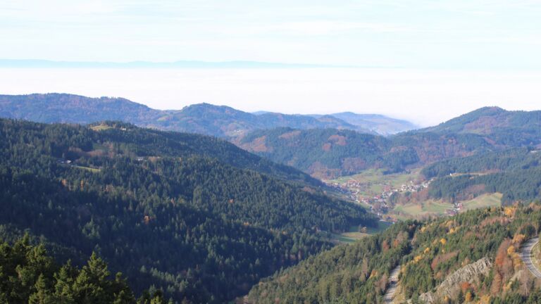 Dieses Bild zeigt eine Webcam-Aufnahme vom Achertal, aufgenommen am Donnerstag, den 06.11.2025 um 10:50 Uhr. Die Temperatur betrug 11.6°C.