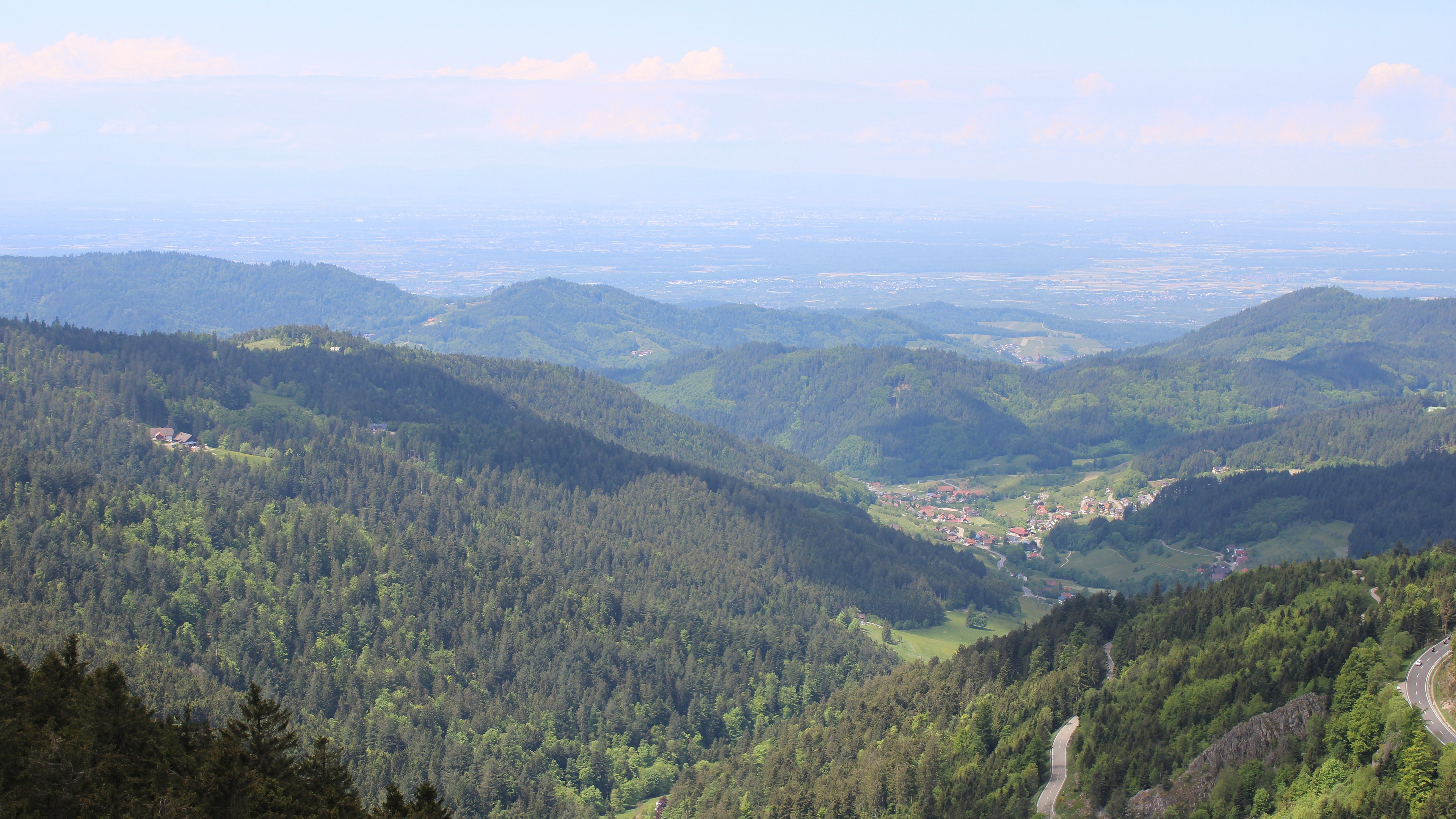 Zum Fotoarchiv vom Montag, 12. Mai 2025