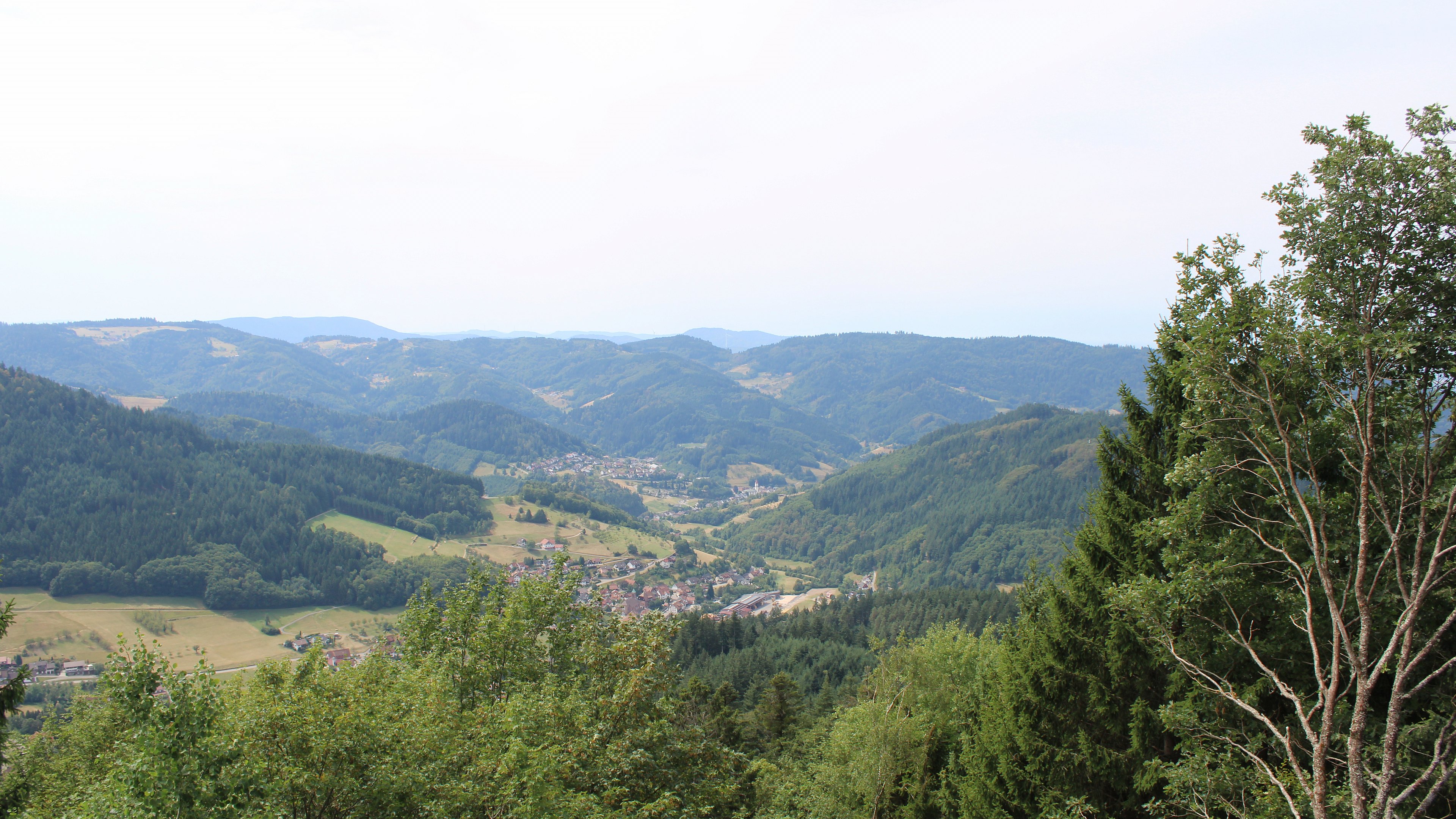 Zum Fotoarchiv vom Sonntag, 9. August 2026