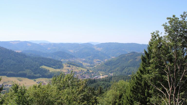 Dieses Bild zeigt eine Webcam-Aufnahme vom Achertal, aufgenommen am Dienstag, den 11.08.2026 um 13:20 Uhr. Die Temperatur betrug 30.1°C.